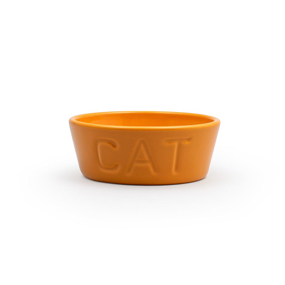 Cat Dish