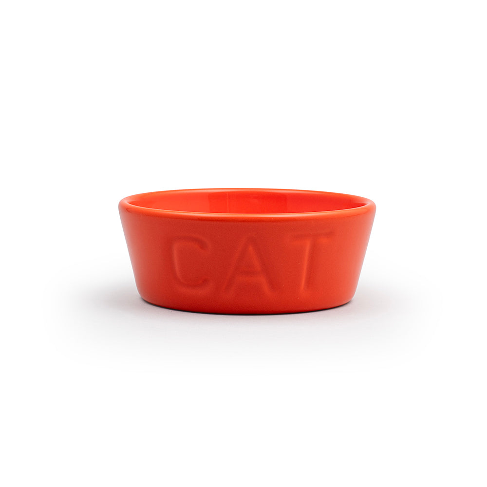 Cat Dish
