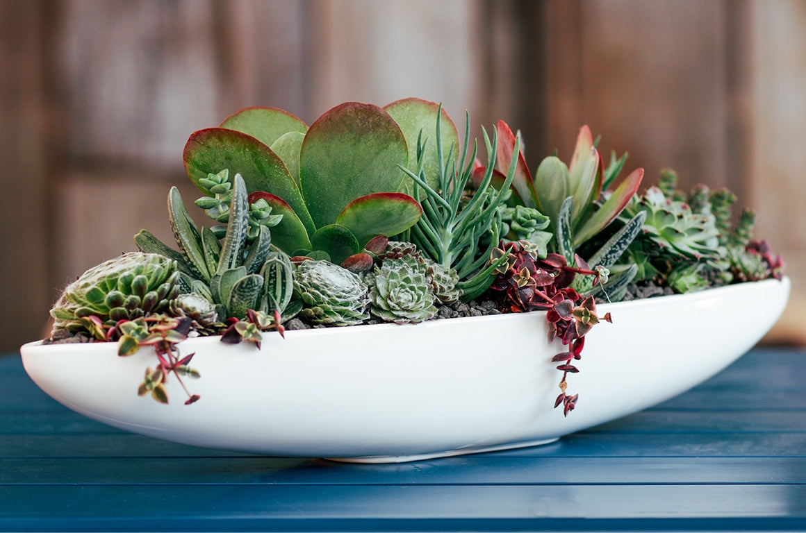 24 inch ceramic flower pots Canoe Pot 24 Inch – Bauer Pottery