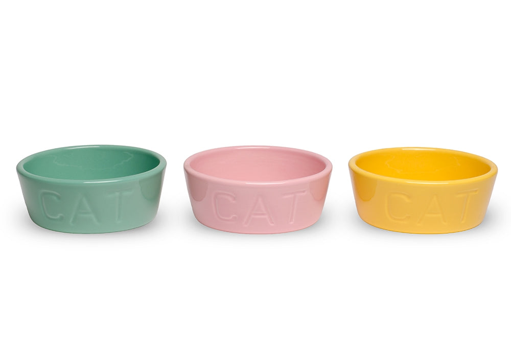 CAT DISH - SECONDS