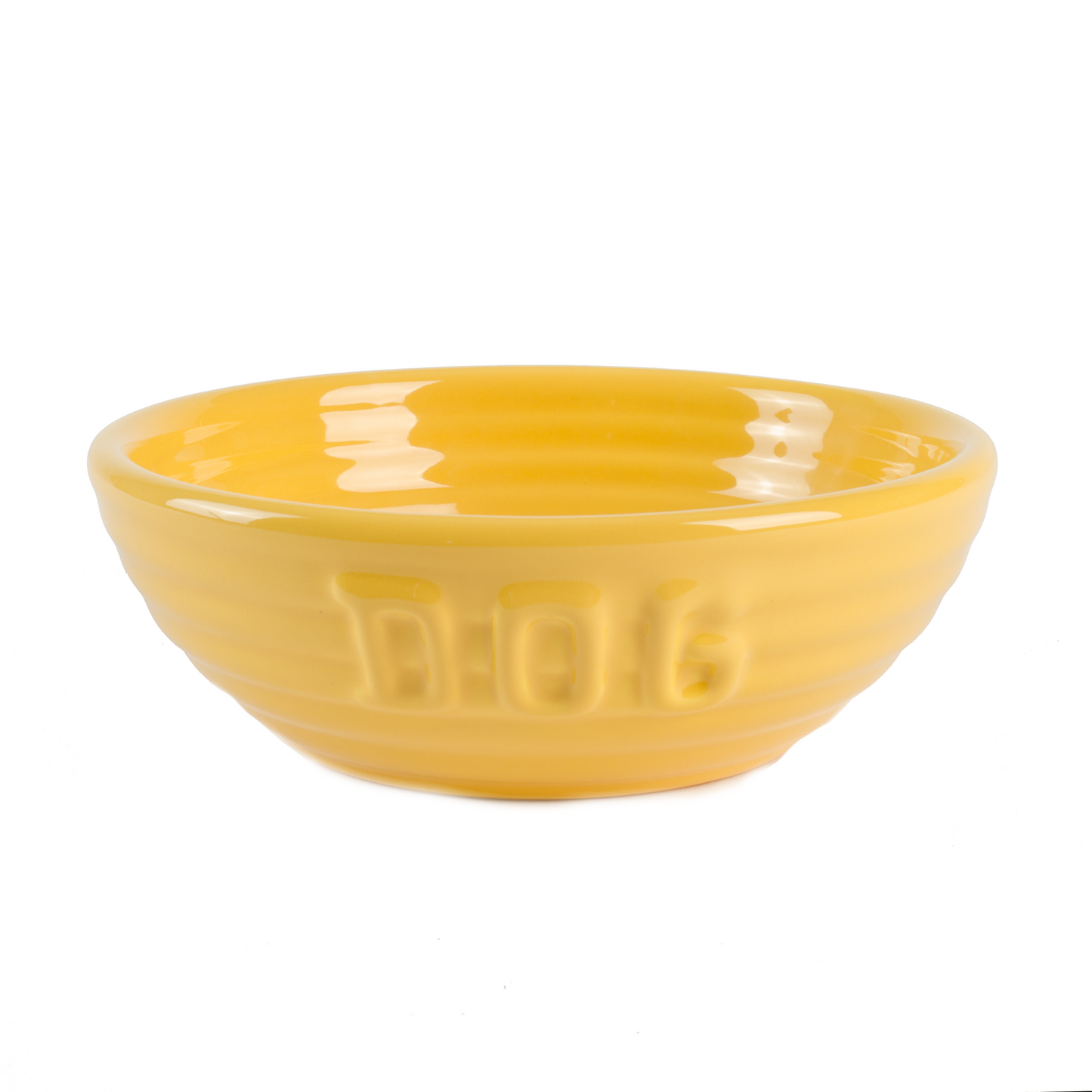 Monterey Dog Bowl